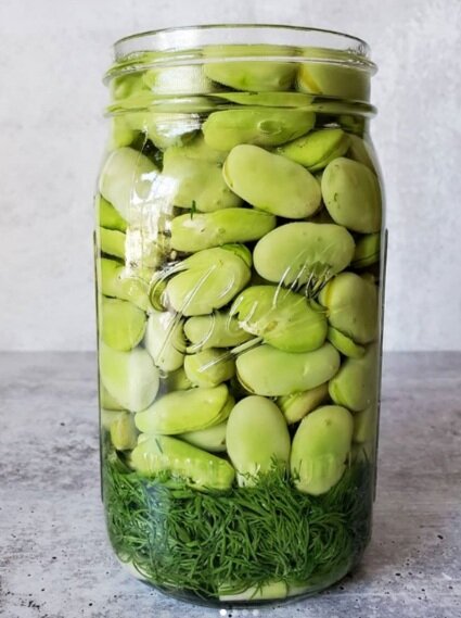 A clear jar full of large green beans and dark green herbs at the bottom